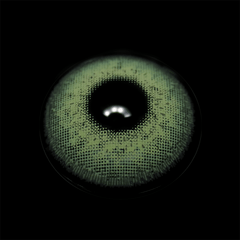 Elite Silky green Coloured Contact Lenses - BEAUEYE (UK)