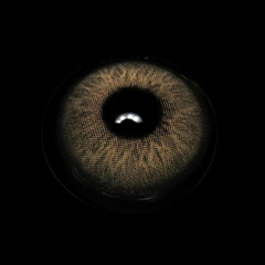 Ellie Brown Coloured Contact Lenses - BEAUEYE (UK)