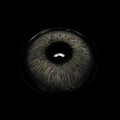 Ellie Gray Coloured Contact Lenses - BEAUEYE (UK)