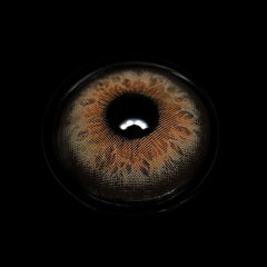 Etoile Brown Coloured Contact Lenses - BEAUEYE (UK)