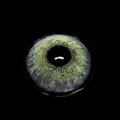 Gimlet Pearl Yellow Coloured Contact Lenses - BEAUEYE (UK)