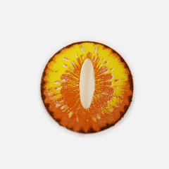 Halloween DragonMaid Yellow Coloured Contact Lenses - BEAUEYE (UK)