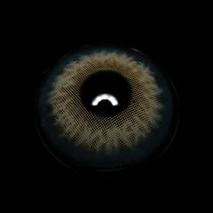 Isabella Grey Coloured Contact Lenses - BEAUEYE (UK)