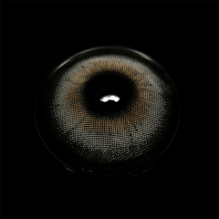 Laurel Gray Prescription Coloured Contact Lenses - BEAUEYE (UK)