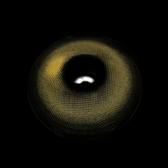 Linette Rockstar Brown Coloured Contact Lenses - BEAUEYE (UK)