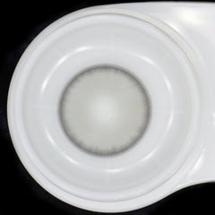Madonna Courtship Grey Coloured Contact Lenses - BEAUEYE (UK)