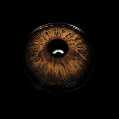 Madonna Love Letter Brown Coloured Contact Lenses - BEAUEYE (UK)