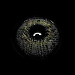 Marilla Gray Coloured Contact Lenses - BEAUEYE (UK)