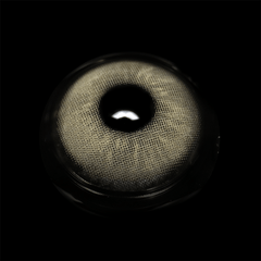 Miginia Gray Coloured Contact Lenses - BEAUEYE (UK)
