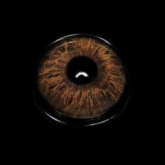 Monalisa Adoration Brown Coloured Contact Lenses - BEAUEYE (UK)