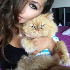 Natural Ambar Coloured Contact Lenses - BEAUEYE (UK)