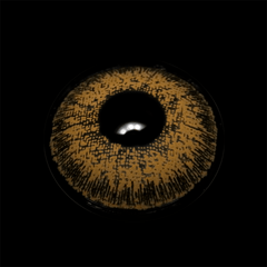NATURAL COOL HAZEL Khaki Coloured Contact Lenses - BEAUEYE (UK)