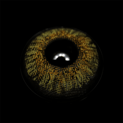New 3 - Tone Brown Prescription Coloured Contact Lenses - BEAUEYE (UK)
