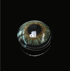 New 3 - Tone Green Prescription Coloured Contact Lenses - BEAUEYE (UK)