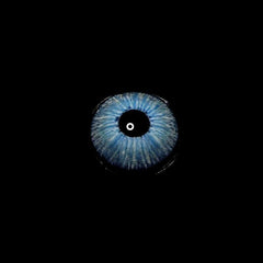 New York 2 BLUE Daily (10 Pcs) Coloured Contact Lenses - BEAUEYE (UK)