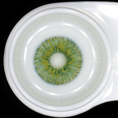New York Green Coloured Contact Lenses - BEAUEYE (UK)