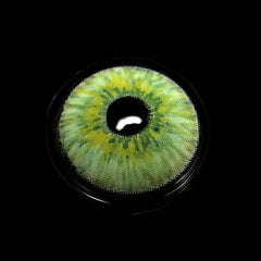 New York Green Coloured Contact Lenses - BEAUEYE (UK)