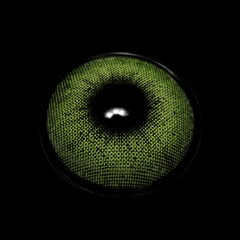 Ocean Green Prescription Coloured Contact Lenses - BEAUEYE (UK)