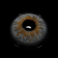 Olivia Gray Coloured Contact Lenses - BEAUEYE (UK)