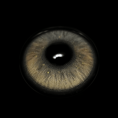 Ophir Gray Coloured Contact Lenses - BEAUEYE (UK)