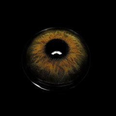 Paloma Venus Khaki Brown Prescription Coloured Contact Lenses - BEAUEYE (UK)