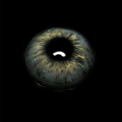 Perla Deep Grey Prescription Coloured Contact Lenses - BEAUEYE (UK)