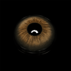 Perola Brown Coloured Contact Lenses - BEAUEYE (UK)