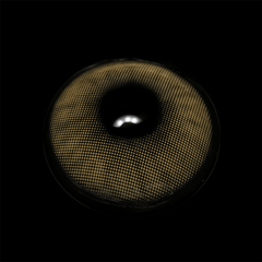 Polar Light brown Prescription Coloured Contact Lenses - BEAUEYE (UK)