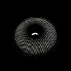 Polar Light gray Prescription Coloured Contact Lenses - BEAUEYE (UK)