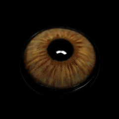 Radella Brown Coloured Contact Lenses - BEAUEYE (UK)