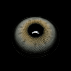 Rosemary Gray Coloured Contact Lenses - BEAUEYE (UK)