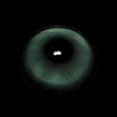 Shae Green Coloured Contact Lenses - BEAUEYE (UK)