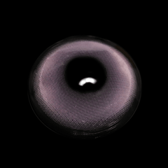 Shae Purple Coloured Contact Lenses - BEAUEYE (UK)