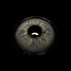 Shayleen Gray Coloured Contact Lenses - BEAUEYE (UK)