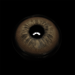 Shayleen Hazel Brown Coloured Contact Lenses - BEAUEYE (UK)