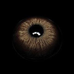 Svetlana Brown Coloured Contact Lenses - BEAUEYE (UK)