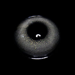 Sweet Gray Coloured Contact Lenses - BEAUEYE (UK)