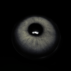 Tiana Brunei Gray Coloured Contact Lenses - BEAUEYE (UK)