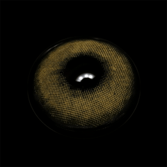 Vela Dark Brown Prescription Coloured Contact Lenses - BEAUEYE (UK)