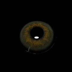 Wildcat Julia Brown Coloured Contact Lenses - BEAUEYE (UK)