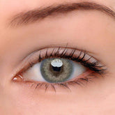 Wildcat Julia Brown Coloured Contact Lenses - BEAUEYE (UK)
