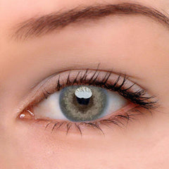 Wildcat Julia Brown Coloured Contact Lenses - BEAUEYE (UK)