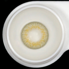 Wildcat Julia Brown Coloured Contact Lenses - BEAUEYE (UK)