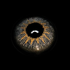 Zircon Gray Prescription Coloured Contact Lenses - BEAUEYE (UK)