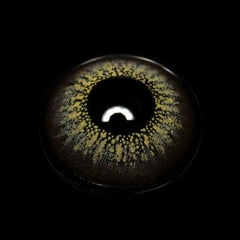 Zulmira Gray Coloured Contact Lenses - BEAUEYE (UK)