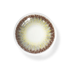 Zulmira Gray Coloured Contact Lenses - BEAUEYE (UK)