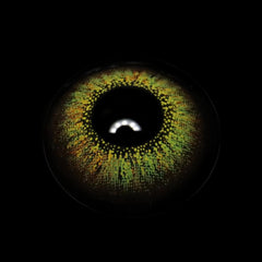 Zulmira Green Coloured Contact Lenses - BEAUEYE (UK)