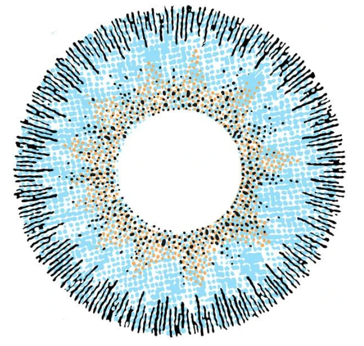 CONTOUR BLUE Coloured Contact Lenses Secondary image