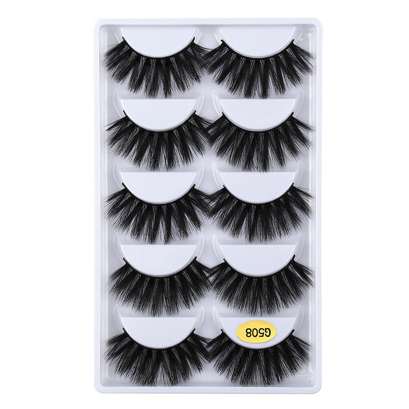 3D Cat Eye 10 Piece Mink Hair Eyelashes