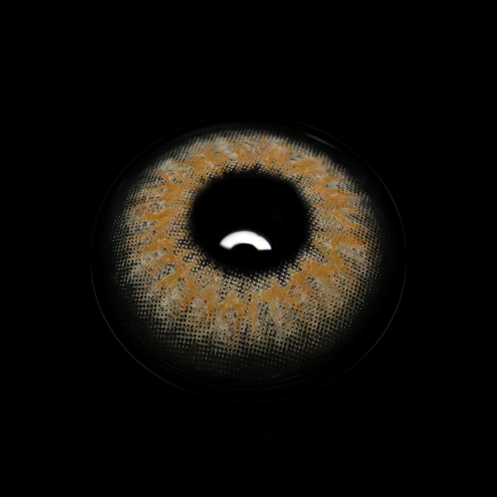 Talitha Brown Coloured Contact Lenses